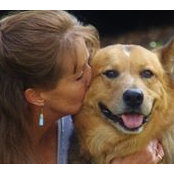 Lyn Henderson Olbrich's photo