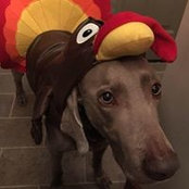Lory LaBombard's photo