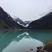 A Matt Robinson's photo