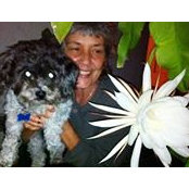 Marlene Suzuki's photo