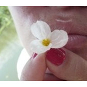 Simona Nanu's photo