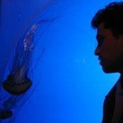 Aviv Shamash's photo