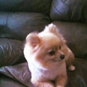 Darlene Young's photo