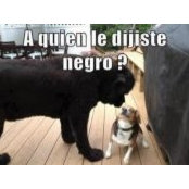 Roberto Contreras's photo