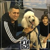 Photo de Golan Levy