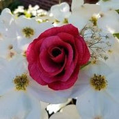Christy Kerley's photo