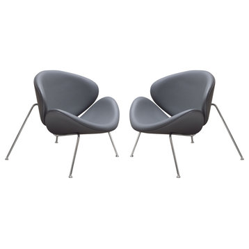 Set of 2 Roxy Accent Chair With Chrome Frame