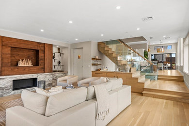 Living room - living room idea in Boston