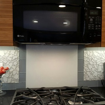Contemporary Kitchen remodel