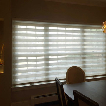 Springblinds Premium Zebra Dual Sheer Shades