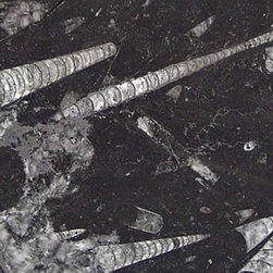 Fossil Black - Brazil - Products