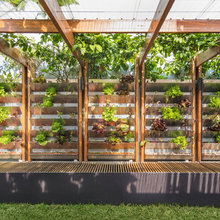 Courtyard Garden