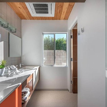 Desert Eichler #2