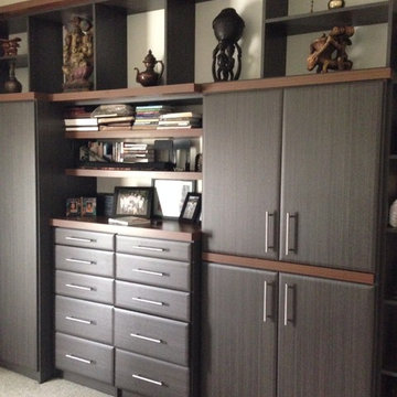 Fox Chapel Master Closet and Display Wall