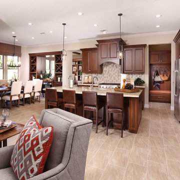 Celebration Model Homes