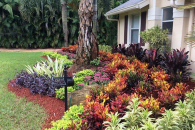 Inspiration for a landscaping in Tampa.