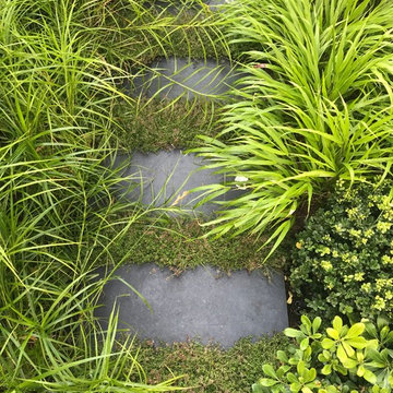 Dalston Courtyard