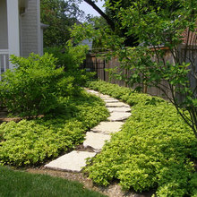 Landscape Ideas