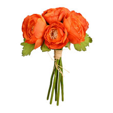 Orange Raneculoum