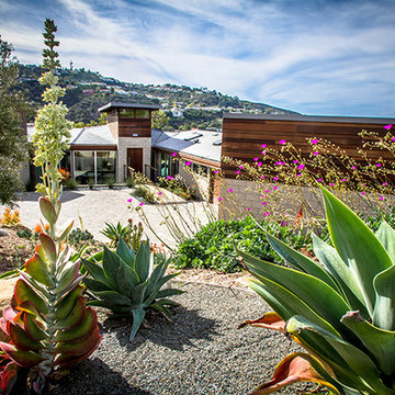 Succulent Garden -