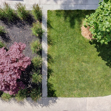 Lytton Park - Spacious Backyard