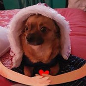 Wendy Gallagher's photo