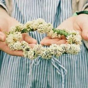 Foto von Amany M