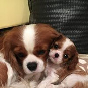 Jana Rychlik's photo