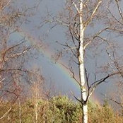 Kim Wilichowski's photo
