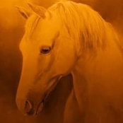 Jacky Werner's photo
