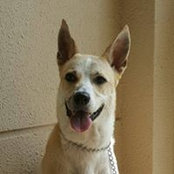 Brian Khoo's photo