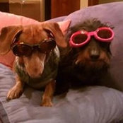 Betty Mattingly-Ebert's photo