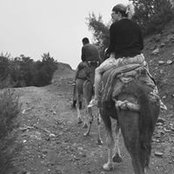 Photo de Alexia Missaoui