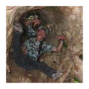 Dan Firepines foto