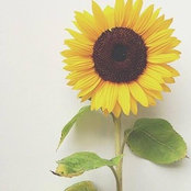 Alma Chapiss's photo