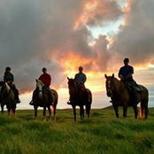 Trish Lane's photo
