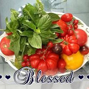Nannette Holmes's photo