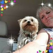 Terry Laird's photo