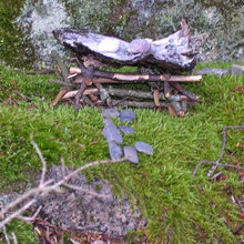 Fairy Houses