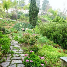 Landscape Ideas
