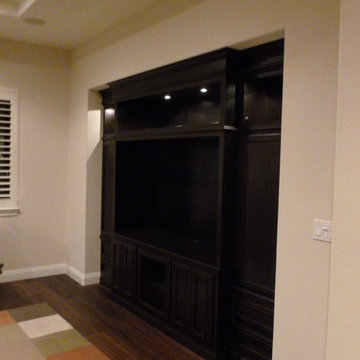 Entertainment Systems