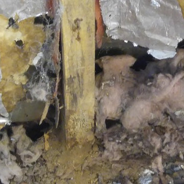 Water & Mold Damaged Wall Repair