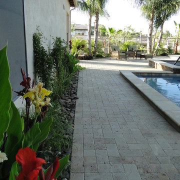Phoenix Resort Style Diving Pool