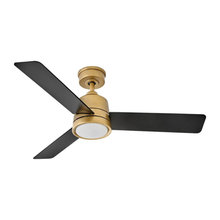 Fans