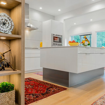 Modern modes in an eclectic Brookline, MA abode