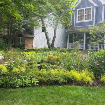 Rockford mulch-less front yard