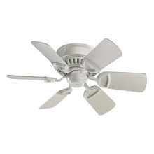 ceiling fan w remote