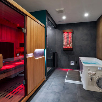 Zen Spa, Bar and Secret Room Basement /Aldie, VA