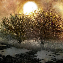 Franklin Arts - Oversized Abstract Tree Canvas Print - Prints And Posters