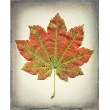 Fine Art Photograph, Maple Leaf II, Fine Art Paper Giclee